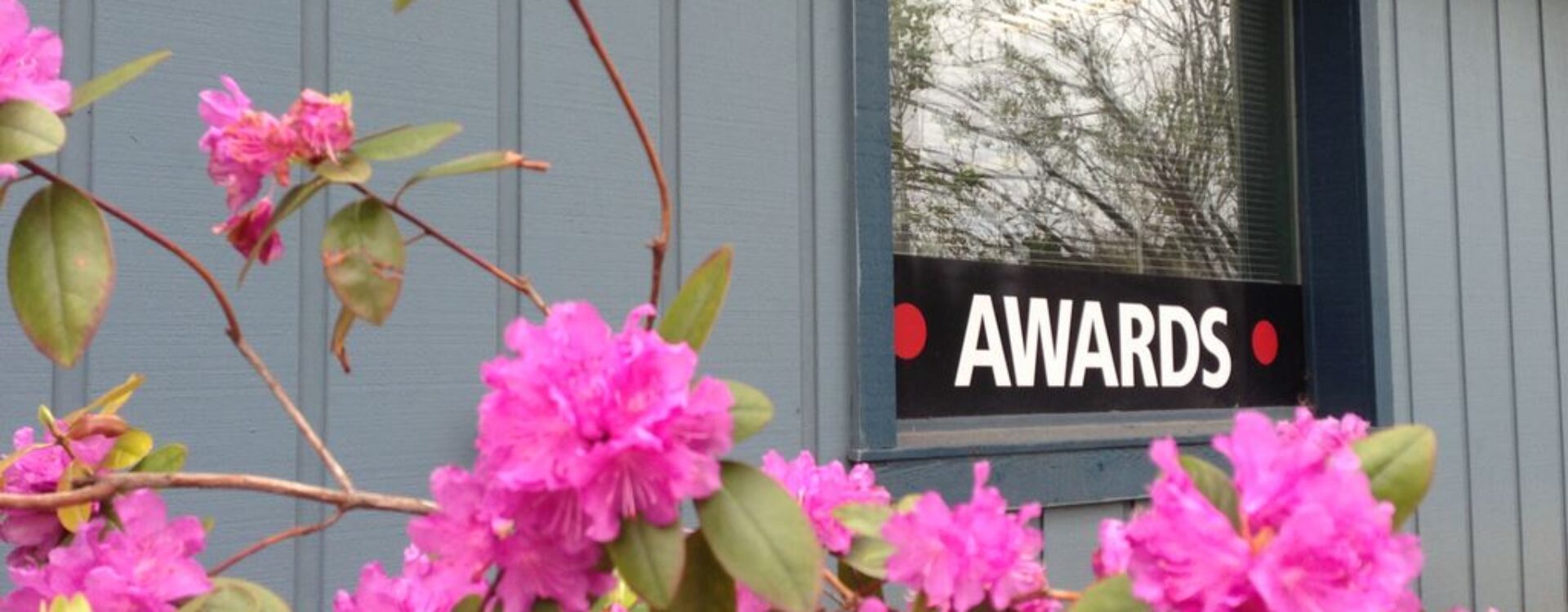 Flowers in front of Awards Unlimited showroom window