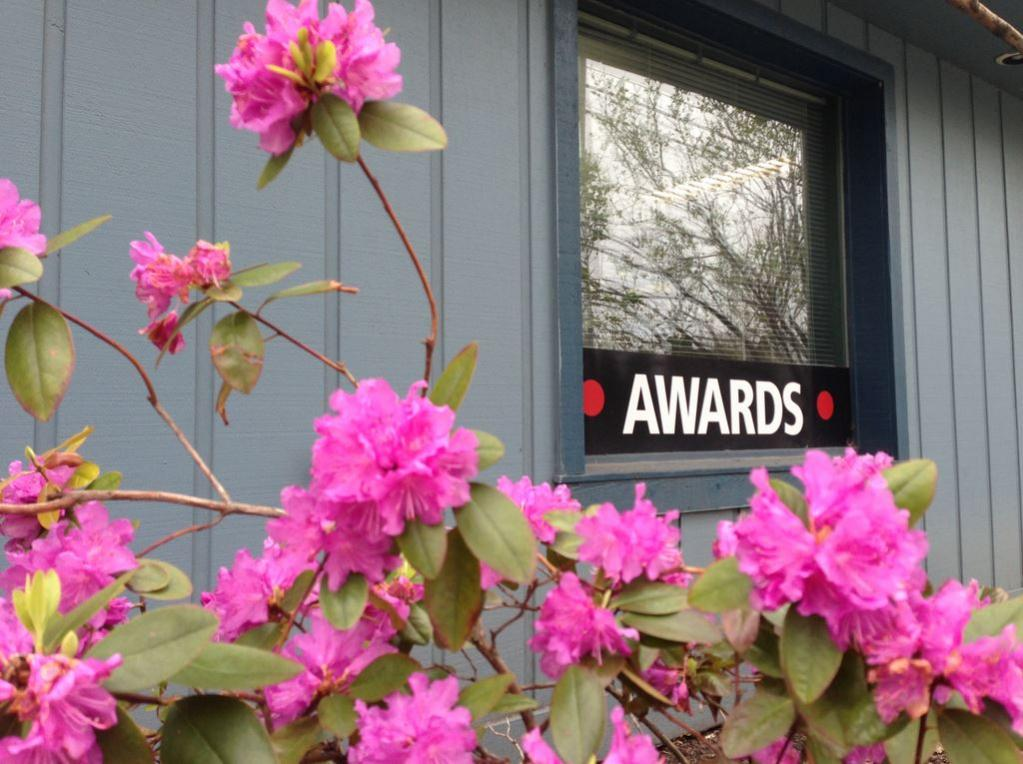 Windowfront of Awards Unlimited building with pink flowes in foreground