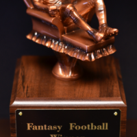 Main Image of Fantasy Football Trophy