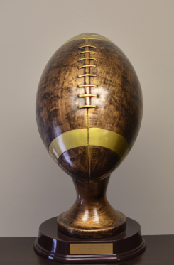 Main Image of Football Trophy