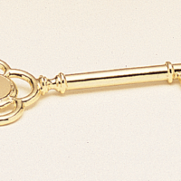 Main Image of Goldtone plated key with engraving disc