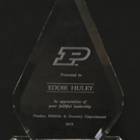 Main Image of Crystal Arrowhead Award