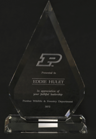Main Image of Crystal Arrowhead Award