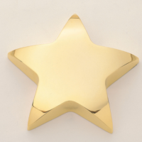 Main Image of Gold finished metal star paperweight.