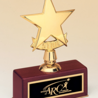 Main Image of Polished metal goldtone star casting on rosewood stained piano finish base.