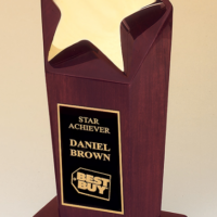 Main Image of Polished metal goldtone star casting on rosewood stained piano finish base.