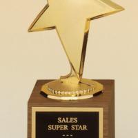 Main Image of Metal goldtone modern star casting on a solid American walnut base.