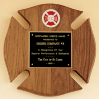 Main Image of Firematic award