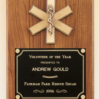 Main Image of Emergency medical award with antique bronze finish casting.