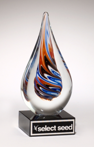 Main Image of Teardrop-shaped art glass award on black glass base
