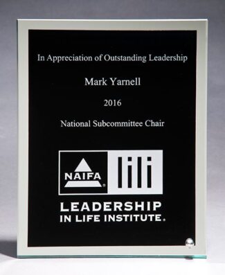 Main Image of Glass plaque with black silk screened center and mirror border