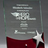 Main Image of Glass Award with Rosewood Accent & Silver Star