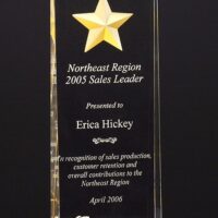 Main Image of Constellation Series – etched star with gold paint-fill and mirrored bottom