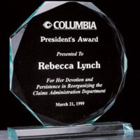 Main Image of Octagon Series 3/4″ thick acrylic award on acrylic base.