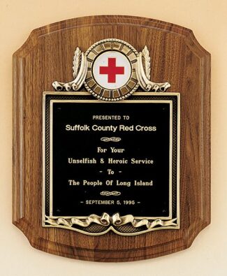Main Image of American walnut plaque with activity insert.