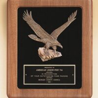 Main Image of American walnut Airflyte frame with a sculptured relief eagle casting on a black velour background