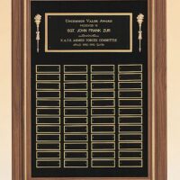 Main Image of Perpetual plaque with 3 plate combinations and a solid American walnut frame on a black velour background