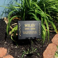 Main Image of Tree Memorial Marker