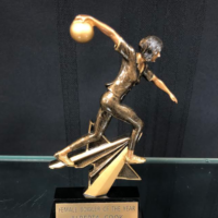Main Image of Sports Resign Trophy