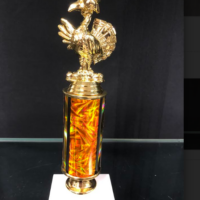Main Image of Trophy with Special Order Topper