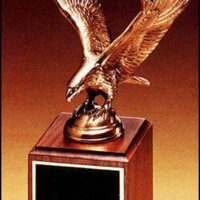 Main Image of Fully modeled antique bronze eagle casting on a walnut base.