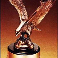 Main Image of Fully modeled antique bronze eagle casting on a black wood base.